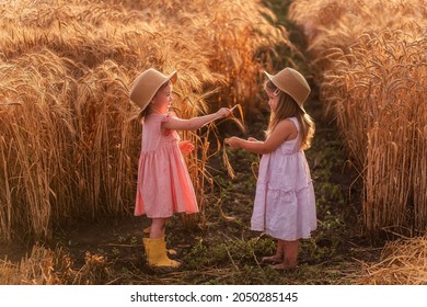 Two Little Girls In Straw Hats And Pink Dresses Are Having Fun In Wheat Field. Girlfriends Tickle Each Other's Nose With Spikelets Of Rye. Sister In Yellow Rubber Boots, The Other Barefoot In The Mud