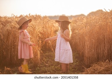 Two Little Girls In Straw Hats And Pink Dresses Are Having Fun In Wheat Field. Girlfriends Tickle Each Other's Nose With Spikelets Of Rye. Sister In Yellow Rubber Boots, The Other Barefoot In The Mud