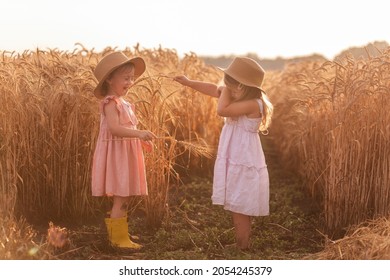 Two Little Girls In Straw Hats And Pink Dresses Are Having Fun In Wheat Field. Girlfriends Tickle Each Other's Nose With Spikelets Of Rye. Sister In Yellow Rubber Boots, The Other Barefoot In The Mud