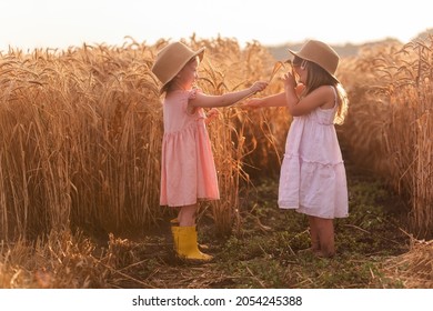 Two Little Girls In Straw Hats And Pink Dresses Are Having Fun In Wheat Field. Girlfriends Tickle Each Other's Nose With Spikelets Of Rye. Sister In Yellow Rubber Boots, The Other Barefoot In The Mud