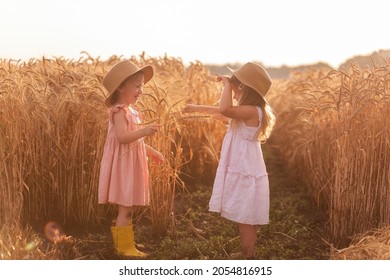 Two Little Girls In Straw Hats And Pink Dresses Are Having Fun In Wheat Field. Girlfriends Tickle Each Other's Nose With Spikelets Of Rye. Sister In Yellow Rubber Boots, The Other Barefoot In The Mud