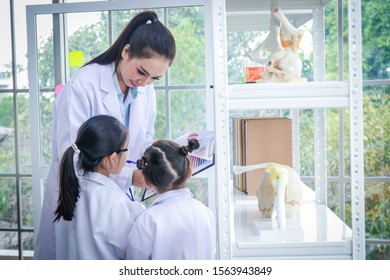 Two Little Girls Study Science With A Beautiful Teacher In The Classroom.