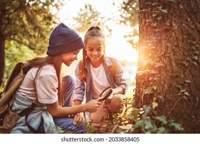 Two little girls in warm hats with backpacks looking examining tree bark through magnifying glass while exploring forest nature and environment on sunny day during outdoor ecology school lesson