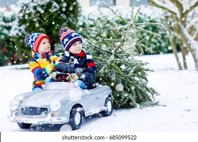 Two Little Kid Boys Driving Toy Car With Christmas Tree. Happy Children, Siblings, Twins, Friends In Winter Fashion Clothes Bringing Hewed Xmas Tree From Snowy Forest. Family, Tradition, Holiday