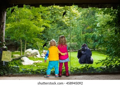 Two little kids, boy and girl, watch monkey show in the zoo on a cold autumn day. Children watching animals in safari park. - Powered by Shutterstock