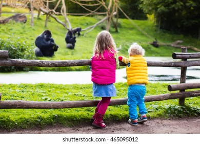 Two little kids, boy and girl, watch monkey show in the zoo on a cold autumn day. Children watching animals in safari park. - Powered by Shutterstock