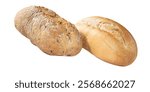 Two loaves of bread on a white background.