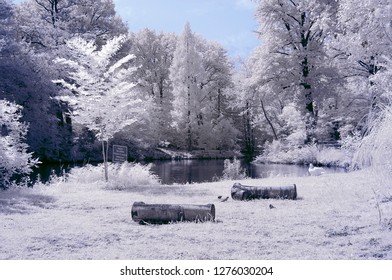 two logs billets on the ground surrounded grass trees and foliage infrared photo