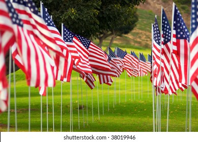 Two long rows of American Flag on a green grass yard blow in the wind