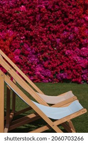 Two Lounge Chairs On The Grass