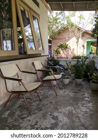 Two Lounge Chairs On The Terrace Of A House Full Of Plants