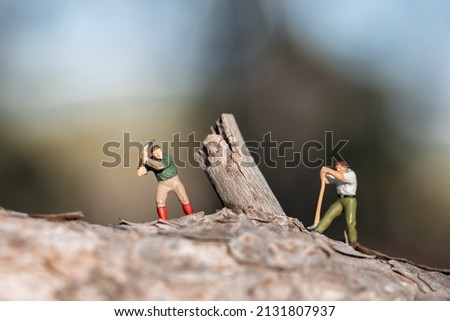 Two Lumberjacks cutting stump with axes