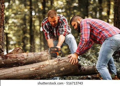 Two Lumberjacks sawing wood trunk with big chainsaw. - Powered by Shutterstock