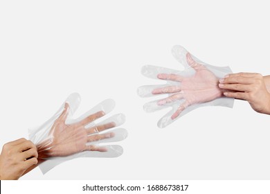 Two Man Hand Wearing Disposable Plastic Glove Isolated On White Background.Multipurpose Glove.Protect Hand.sanitary Food Contact Gloves