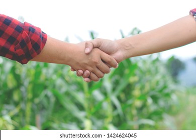 Two man shaking hands in the corn field,Concept of agricultural cooperation