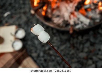 Two marshmallows are being roasted over a campfire, with the flames in the background. The scene evokes warmth and a cozy outdoor experience.