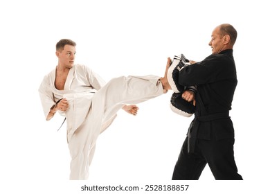 Two martial artists practicing karate, one in a white gi and the other in a black gi. The man in white strike delivers a while the other holds a hand makiwara for training. - Powered by Shutterstock