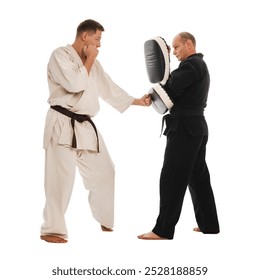 Two martial artists practicing karate, one in a white gi and the other in a black gi. The man in white strike delivers a while the other holds a hand makiwara for training. - Powered by Shutterstock