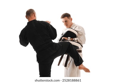 Two martial artists practicing karate, one in a white gi and the other in a black gi. The man in black strike delivers a while the other holds a hand makiwara for training. - Powered by Shutterstock