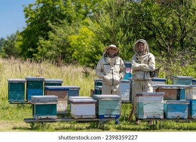 Two men in bee suits standing in front of beehives. Two Beekeepers Inspecting Beehives in Protective Suits - Powered by Shutterstock