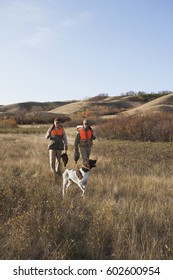 Two Men, Bird Hunters, With Shotguns, Carrying The Day's Bag Of Dead Birds, And A Spaniel Dog