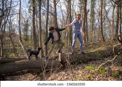 Two Men, Gay Couple Holding Hands, Walking In Woods With Their Dog, Helping Each Other Cross A Log.