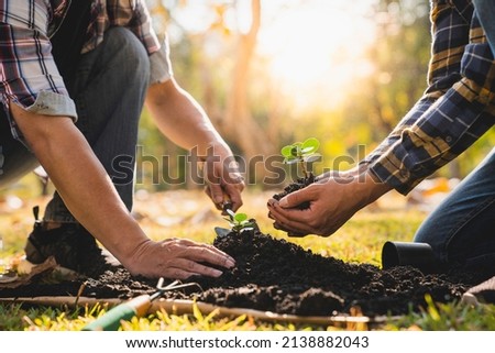 Two men planting a tree concept of world environment day planting forest, nature, and ecology A young man's hands are planting saplings and trees that grow in the soil while working to save the world.
