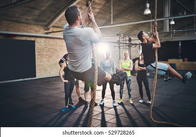 Two men in shorts climbing thick rope during fitness exercises in cross-fit training with other adults watching them from behind - Powered by Shutterstock