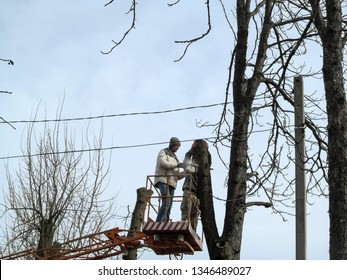 Two Men Trimming Tall Trees With A Chainsaw From An Aerial Device. Rejuvenation Of Old Trees Among Electricity Lines In Cities, Background With Copy Space