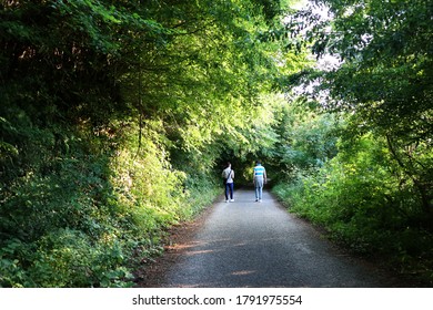  Two Men Are Walking Down A Road In A Wood