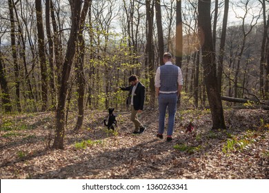 Two Men, Young Gay Couple Walking In Forest, Playing With Their Dog. Leisure Time In Forest. Location National Park 