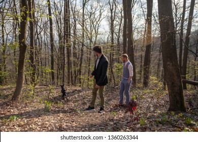 Two Men, Young Gay Couple Walking In Forest, Playing With Their Dog. Leisure Time In Forest. Location National Park 