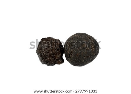 Two meteorites, solid piece of debris from an object, like a comet, asteroid, or meteoroid, that originates in outer space and survives its passage through the atmosphere to reach the surface of a planet