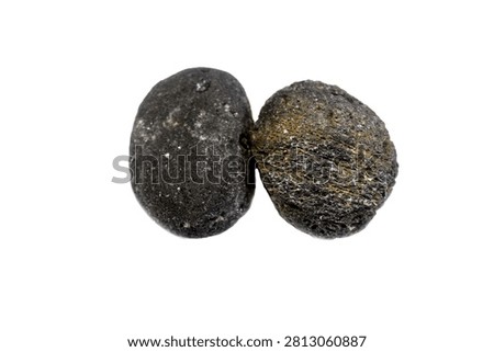 Two meteorites, solid pieces of debris from an object, like a comet, asteroid, or meteoroid, that originates in outer space and survives its passage through the atmosphere to reach the surface of a planet
