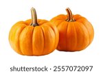 Two mini pumpkin isolated on white