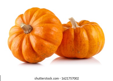 Two mini pumpkin isolated on white background - Powered by Shutterstock