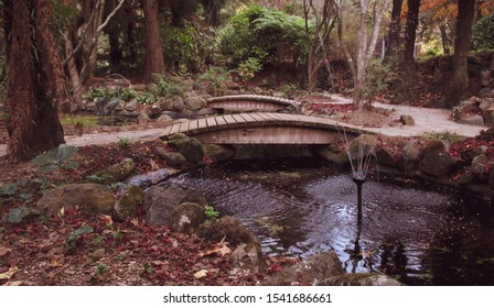 Two mini wooden walking bridges over a pond with a small stream of water fountain. Bridges and fountains have significant meaning in dream interpretations