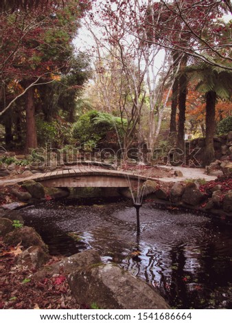 Two mini wooden walking bridges over a pond with a small stream of water fountain. Bridges and fountains have significant meaning in dream interpretations