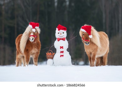 Two Miniature Shetland Breed Ponies Dressed In Christmas Santa Hats With A Snowman Dressed In Red Hat And Bow Tie. Horse In Winter. Pet At Christmas.