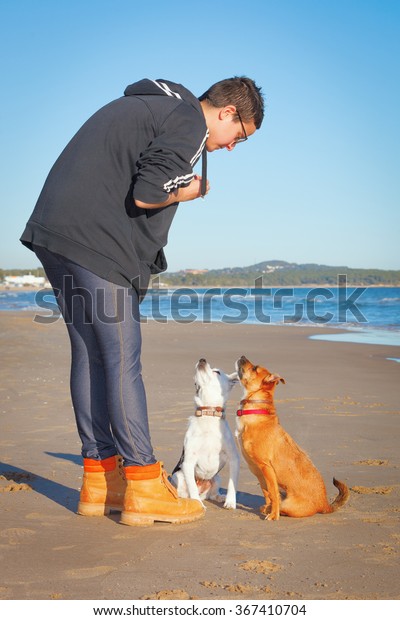 Two Mixed Mongrel Dogs Short Hair Stock Photo Edit Now 367410704