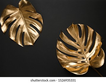 Two monstera leaves painted with gold paint on plain black background. Fashionable luxury shiny background frame. High fashion trendy brand concept. Empty space.