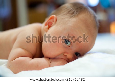 Two Month Old Baby Laying On His Tummying His Fist And Trying To Hold Two Month Old Baby Laying On His Tummying His Fist And Trying To Hold