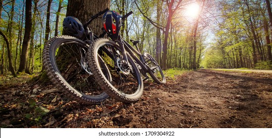 Two mountain bikes leaned on a tree next to a beautiful green forest trail with sun shining through the trees. Mountain biking concept. - Shutterstock ID 1709304922