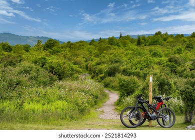 Two mountain bikes are secured to an Appalachian Trail marker at the intersection with the Rhododendron Trail in Grayson Highlands State Park so that the riders can explore the trail on foot.