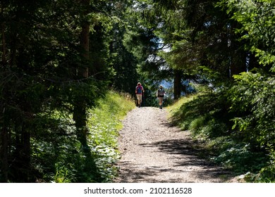 Two Mountain Climbers Walking Down The Pathway In The Middle Of The Green Forest In Summer