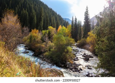 Two Mountain Rivers Merge Into One. Light River And Dark River