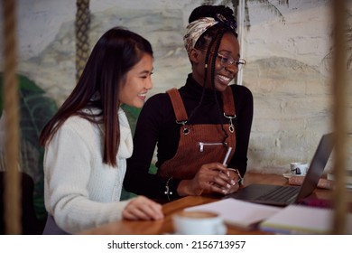 Two Multiracial Female Students Sit In A Bar And Read A Book. Students Study For An Exam.