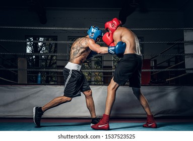 Two muscular boxers have a competition on the ring, they are wearing helmets and gloves. - Powered by Shutterstock