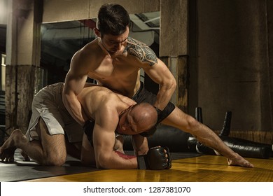 Cock fighters in training torrent 1