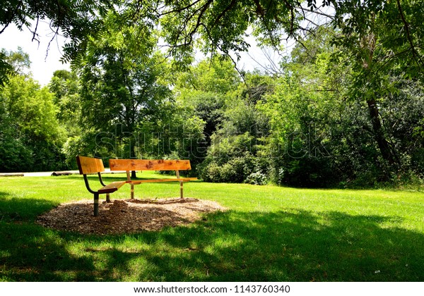 Two New Park Benches Shaded Area Stock Image Download Now